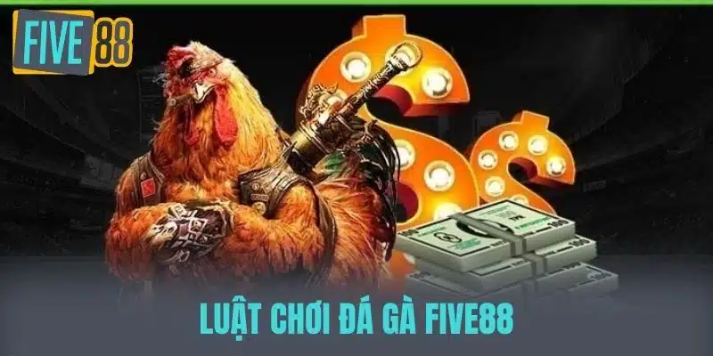 Đá Gà Five88 - Những Điều Cần Biết Và Kinh Nghiệm Chơi Luật chơi đá gà Five88