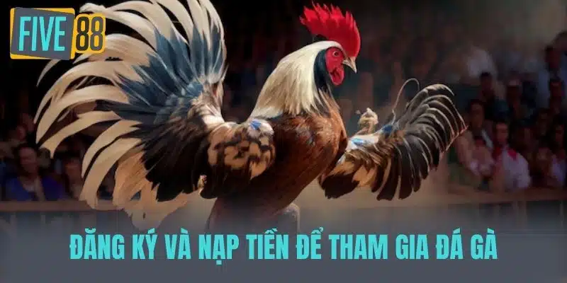 Đá Gà Five88 - Những Điều Cần Biết Và Kinh Nghiệm Chơi Đăng ký và nạp tiền để tham gia đá gà